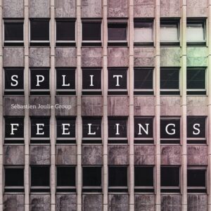 Split Feelings - Sebastien Joulie Group