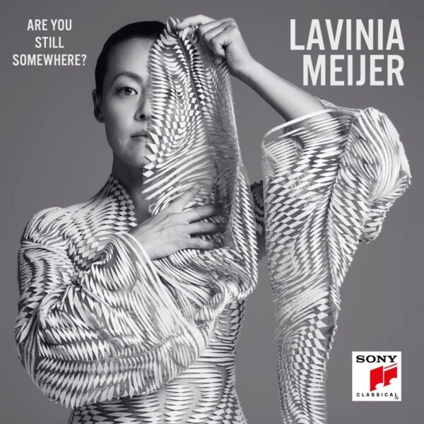 Are You Still Somewhere? - Lavinia Meijer