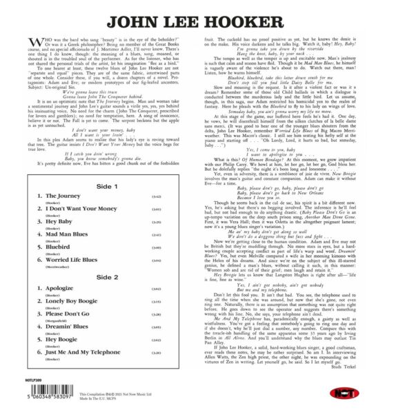 Plays & Sings The Blues (Vinyl) - John Lee Hooker