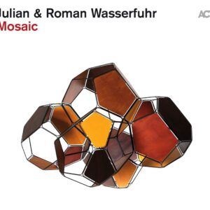 Mosaic (Vinyl) - Julian & Roman Wasserfuhr