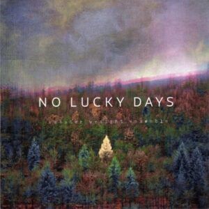 No Luck Days (Vinyl) - Webster Wraight Ensemble