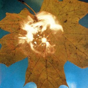 Force Of The Wind - Soyuz