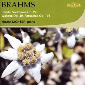 Brahms: Variations Haendel, Valses, Fantaisies - Misha Dichter