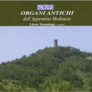 Organi antichi dell'Appennino Modenese - Liuwe Tamminga