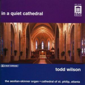 In A Quiet Cathedral - Todd Wilson