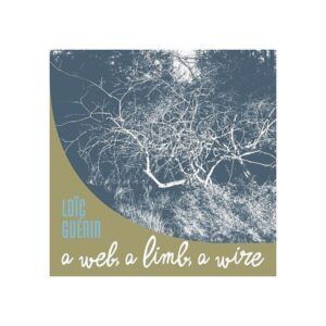 A Web, A Lim, A Wire - Loïc Guenin