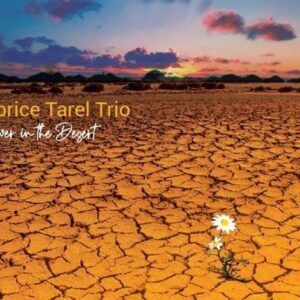 Flower In The Desert - Fabrice Tarel Trio