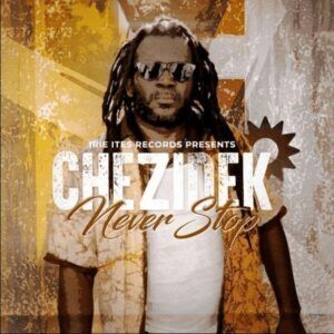 Never Stop (Vinyl) - Chezidek