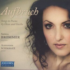 Aufbruch - Sophia Brommer