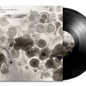 Understories (Vinyl) - Julia Ulehla & Davala