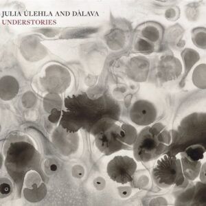 Understories - Julia Ulehla & Davala