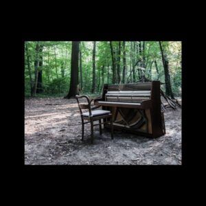 Acoustic II (Vinyl) - The Eye Of Time