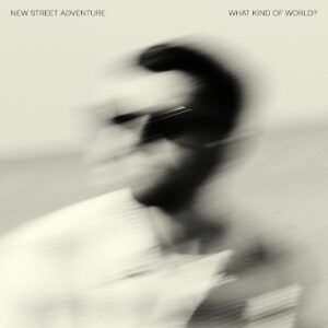What Kind Of World (Vinyl) - New Street Adventure Feat. Nick Cor