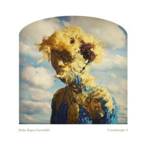 Vantdraught 4 (Vinyl) - Kuba Kapsa Ensemble