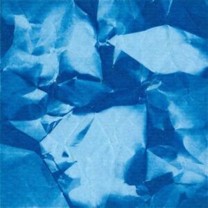 The Shape Of Things That Never Came (Vinyl) - Echo Boomer