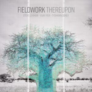 Thereupon (Vinyl) - Fieldwork
