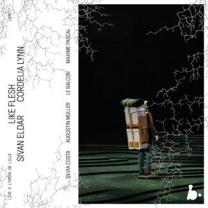 Sivan Eldar: Like Flesh - Le Balcon