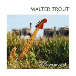 Common Ground (Vinyl) - Walter Trout