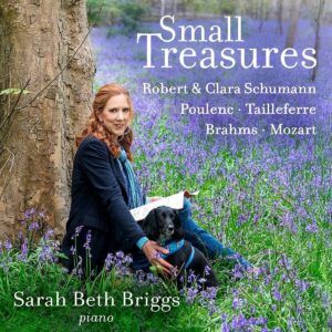 Small Treasures - Sarah Beth Briggs