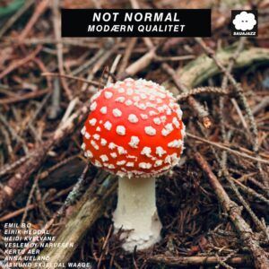 Modaern Qualitet - Not Normal
