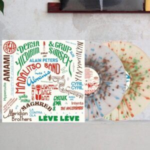 2015-2025: 10 Years Of Sonic Explorations (Splatter Vinyl) - Les Disques Bongo Joe