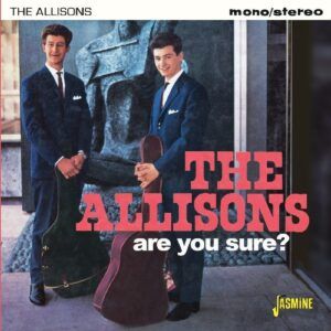 Are You Sure - The Allisons