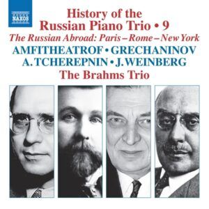 History Of The Russian Piano Trio,Vol. 9 - The Brahms Trio