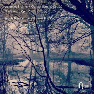 Brahms: Clarinet Sonatas Nos.1 & 2, Op. 120 & 3 Intermezzi, Op. 117 - Nicola Boud & Anthony Romaniuk