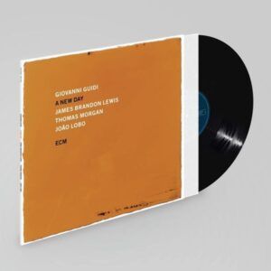 A New Day (Vinyl) - Giovanni Guidi