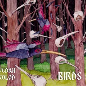 Birds - Vedan Kolod