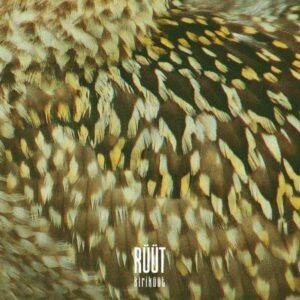 Kirikuut - Ruut