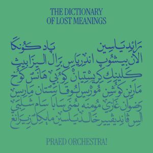 The Dictionary Of Lost Meanings (Vinyl) - Praed Orchestra!