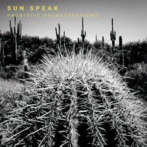 Probiotic Orchestrations (Vinyl) - Sun Speak