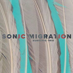 Sonic Migration - Subsonic Trio