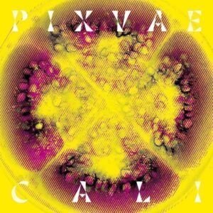Cali (Vinyl) - Pixvae