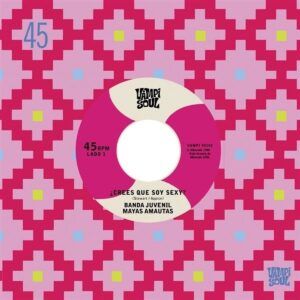 Crees Que Soy Sexy? / El Travoltoso  (7" Vinyl) - Banda Juvenil Mayas Amautas / Los Bravos Del Ande