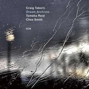 Dream Archives - Craig Taborn