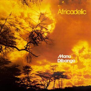 Africadelic (Vinyl) - Manu Dibango