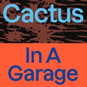 In A Garage - Cactus