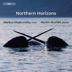 Northern Horizons - Markus Maskuniitty