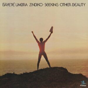 Seeking Other Beauty (Vinyl) - Bayete Umbra Zindiko