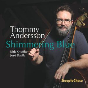 Shimmering Blue - Thommy Andersson