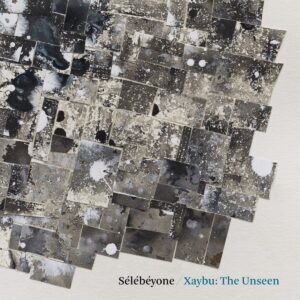 Xaybu: The Unseen (Vinyl) - Steve Lehman & Sélébéyone
