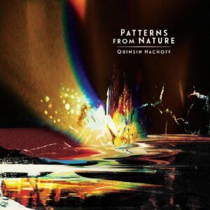 Patterns From Nature (Vinyl) - Quinsin Nachoff