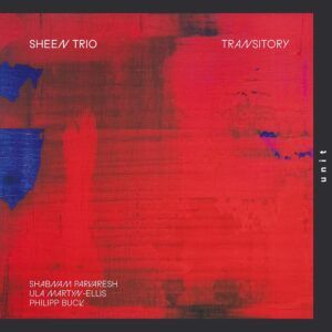 Transitory - Sheen Trio