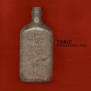 Tonic (Vinyl) - Medeski Martin & Wood