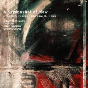 Giacomo Susani: A Screenshot Of Now