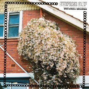 Daylight Savings (Vinyl) - Surprise Chef