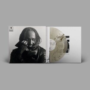 Distracted (Vinyl) - Thundercat