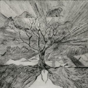 Monstruos Y Duendes Vol. 1: Myfyrio (Vinyl) - Myrddin